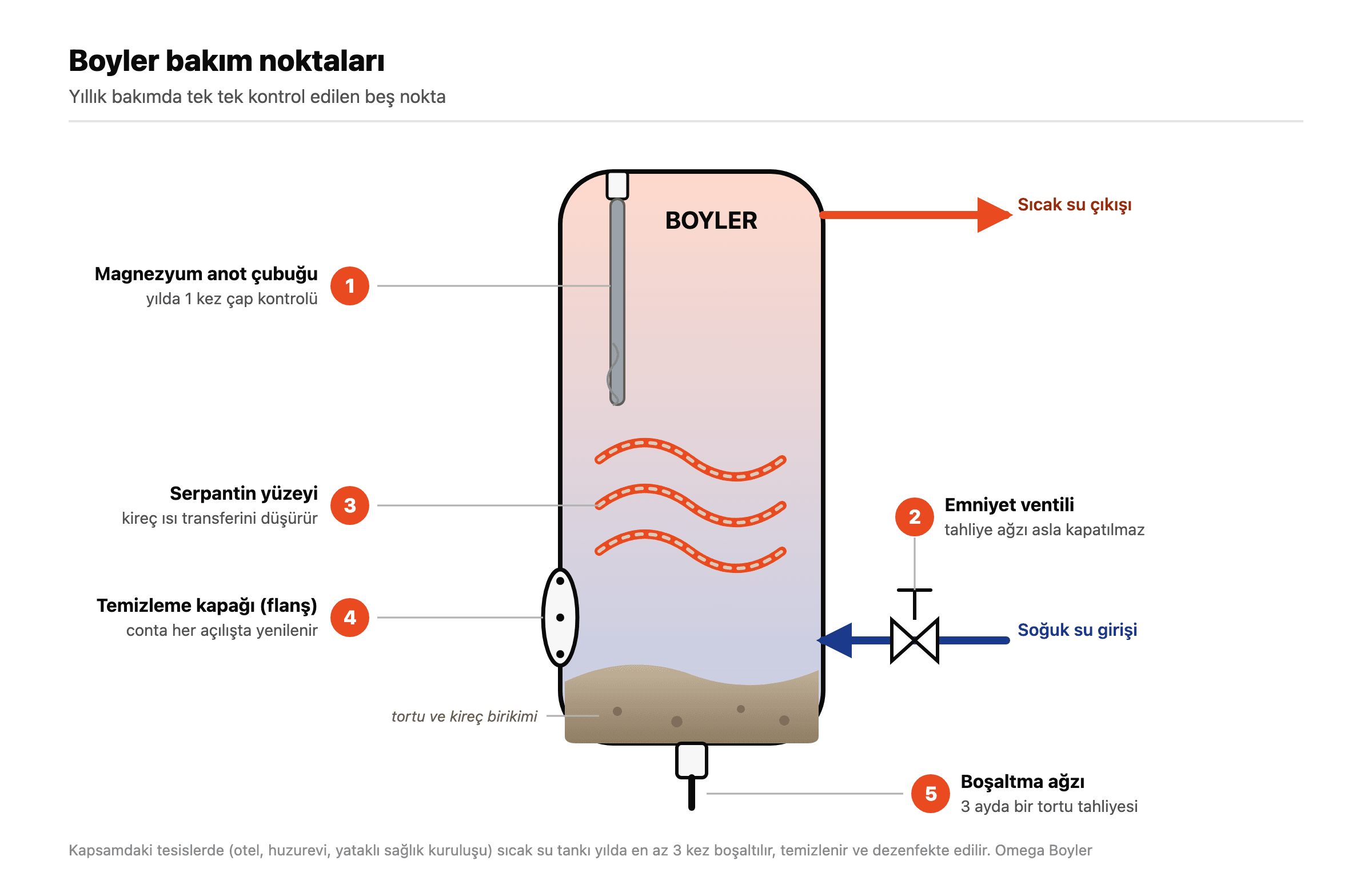 How to Clean a Water Heater: Scale, Anode Rod and Intervals